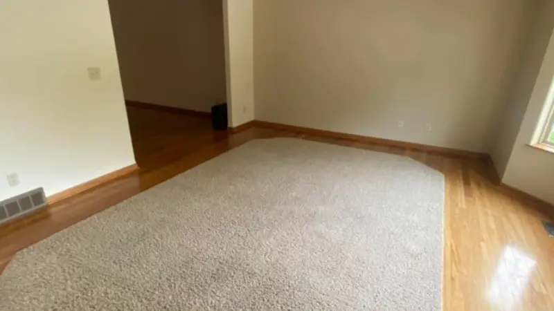 Clean residential carpet after professional steam cleaning in Fargo, ND