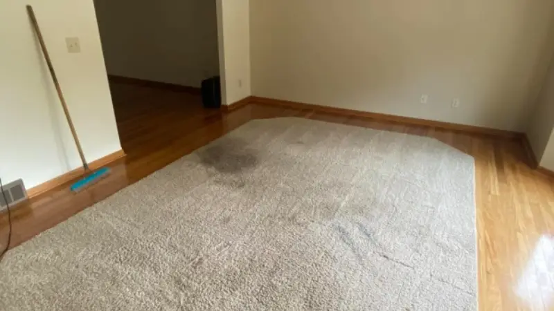 Heavily soiled residential carpet before hot-water extraction cleaning