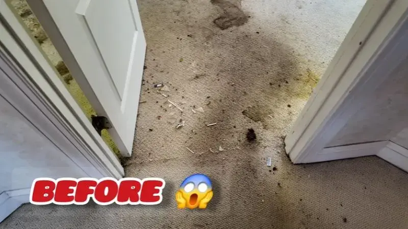 Dirty, stained residential carpet before professional steam cleaning in Fargo, ND